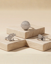 Starlume dome ring with baby shark and fork n' spoon ring - COMBO PACK / 3 IN ONE